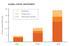Global Capital Investment